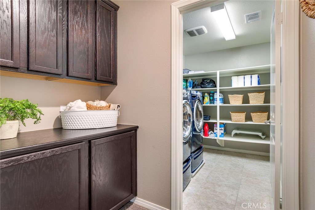 17994 Lacebark Court