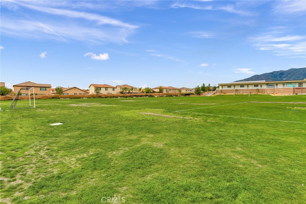 17994 Lacebark Court