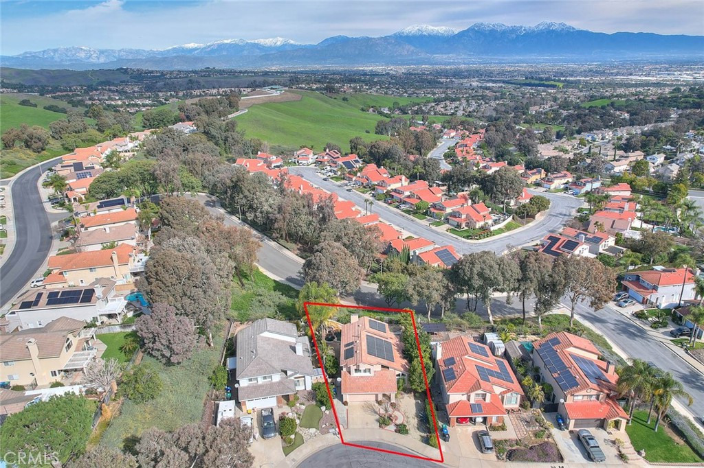 2842 Hollow Oak Court