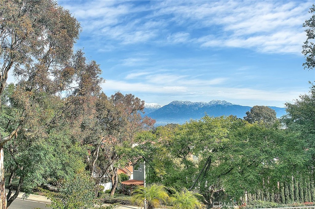 2842 Hollow Oak Court