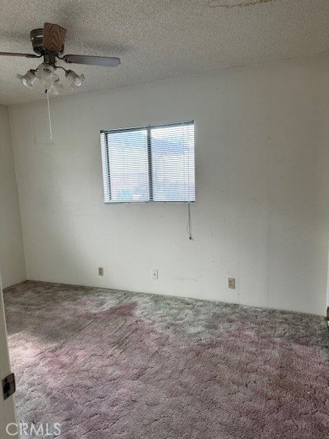 12118 Killian Street