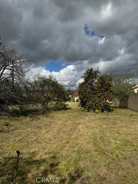 12118 Killian Street