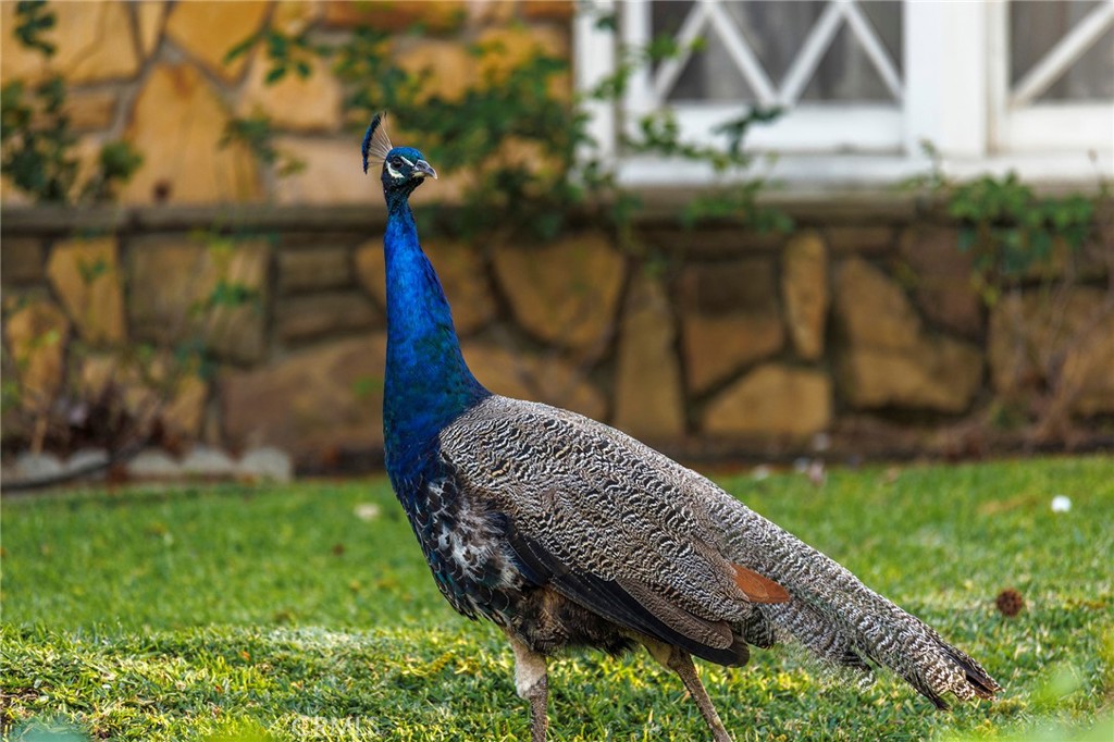 1050 Monte Verde Drive