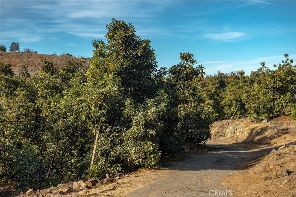 0 Gopher Canyon Road