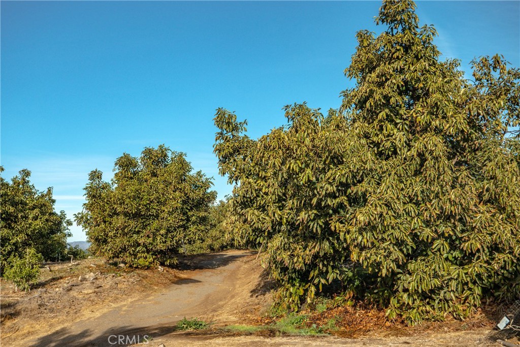 0 Gopher Canyon Road