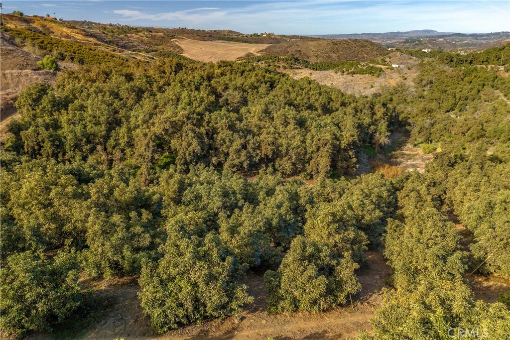 0 Gopher Canyon Road