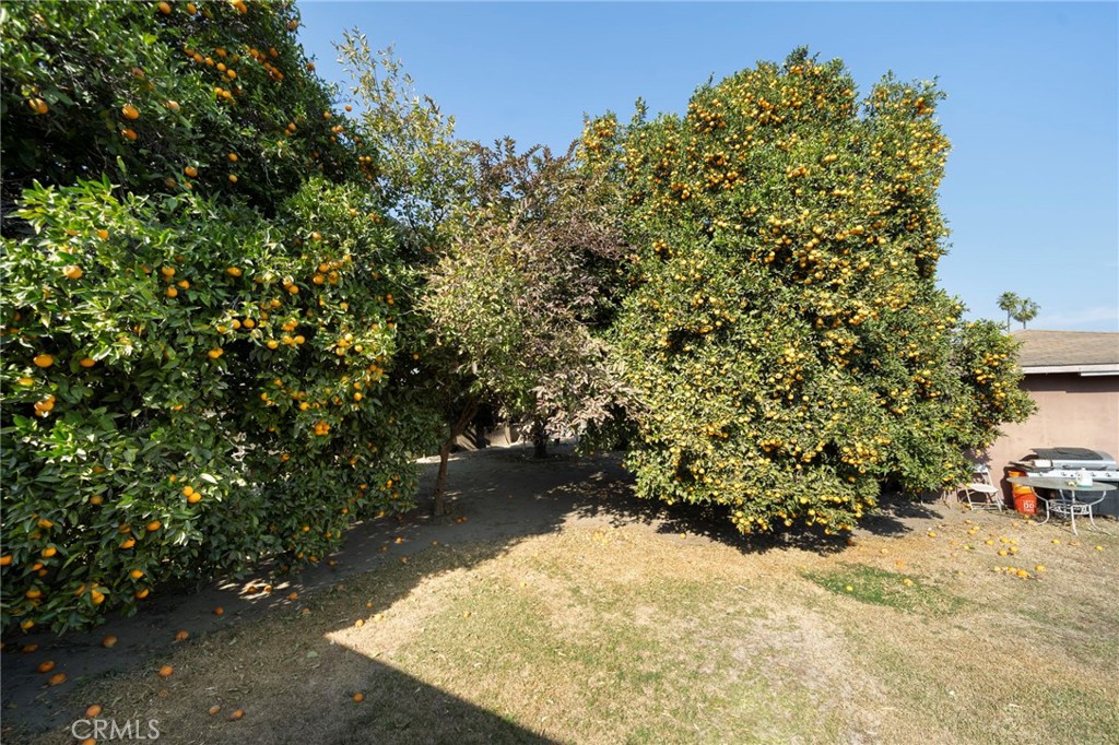 2463 Tamora Avenue