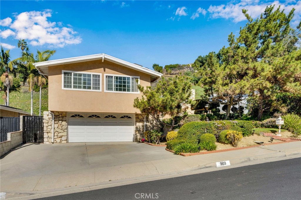 903 Crest Vista Drive