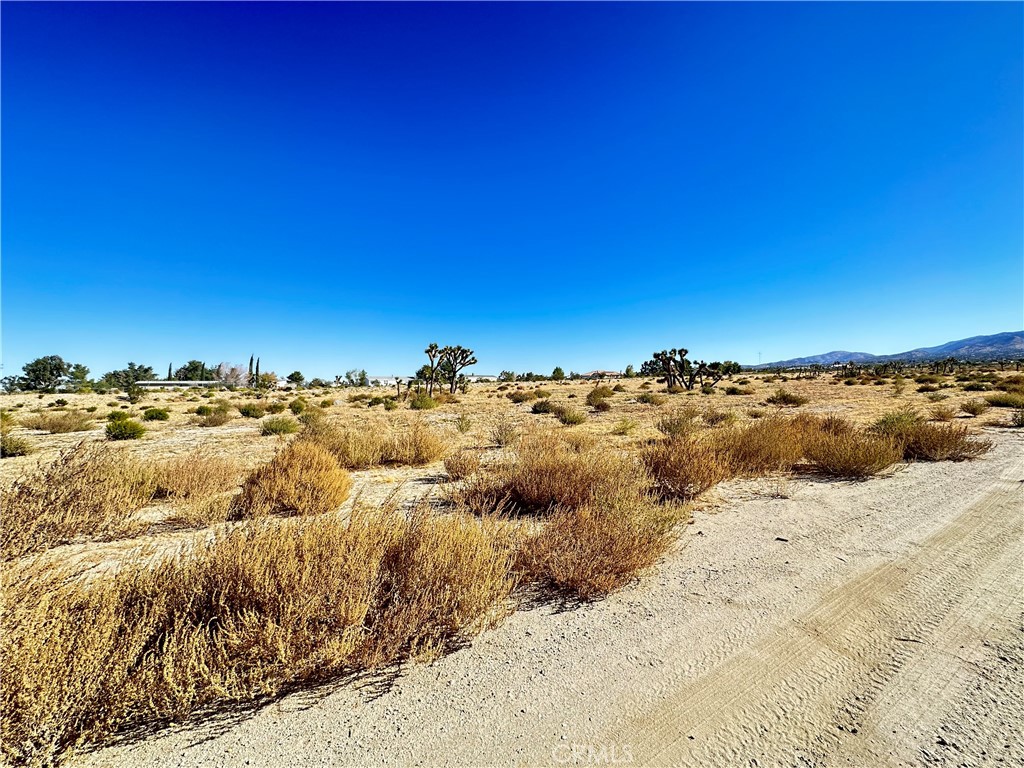 11975 Primavera Road