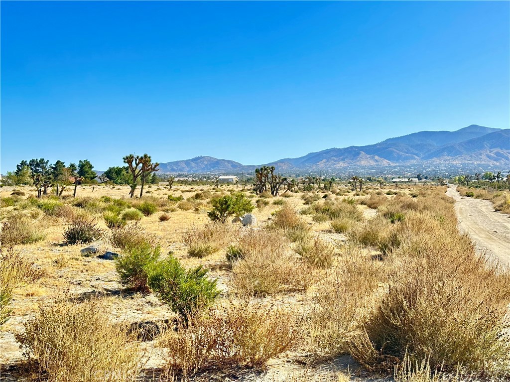 11975 Primavera Road