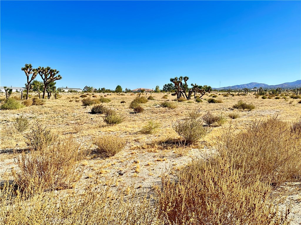 11975 Primavera Road