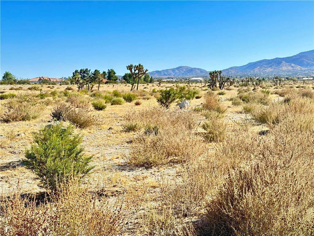 12025 Primavera Road