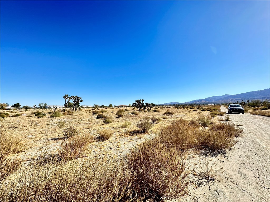 12025 Primavera Road