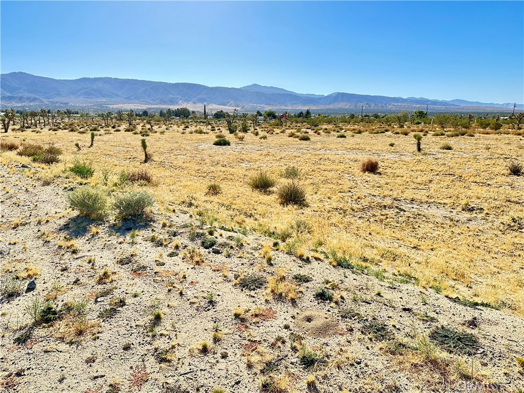 12025 Primavera Road