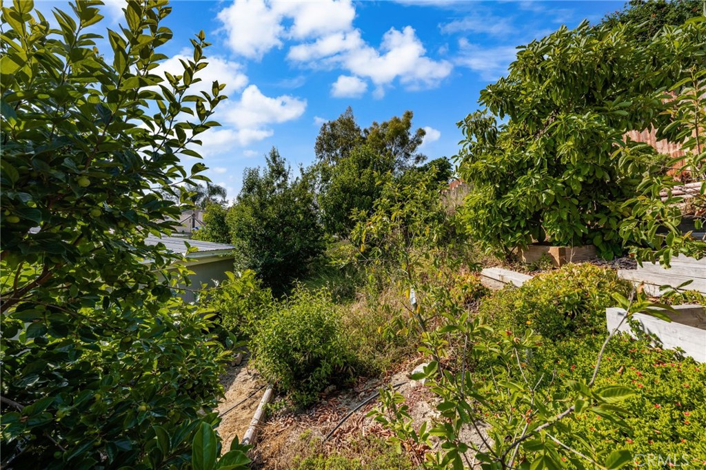 40 Country Wood Drive