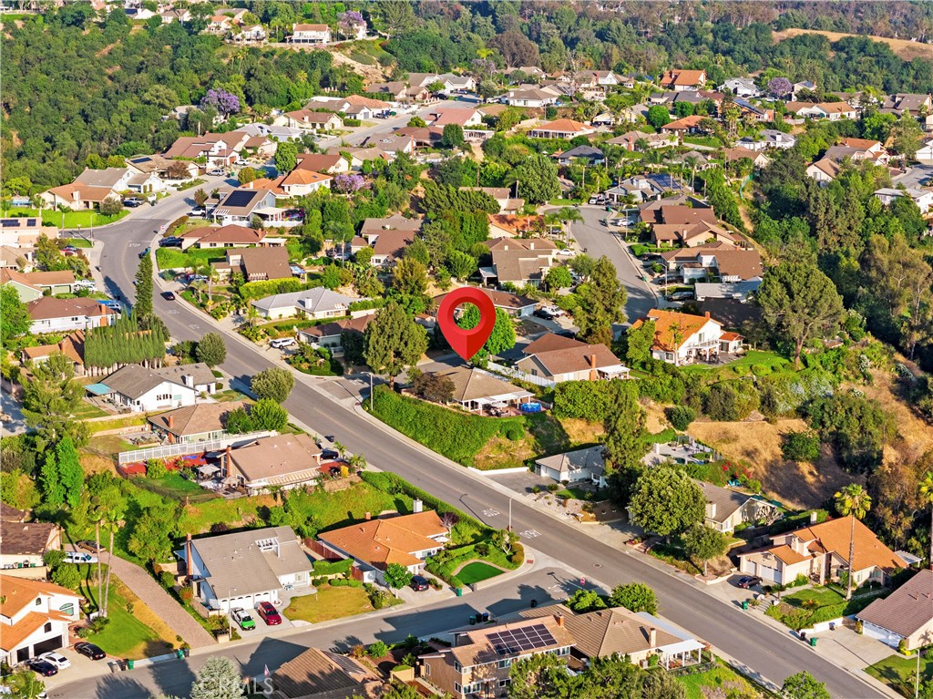 1601 Calle De Armonia