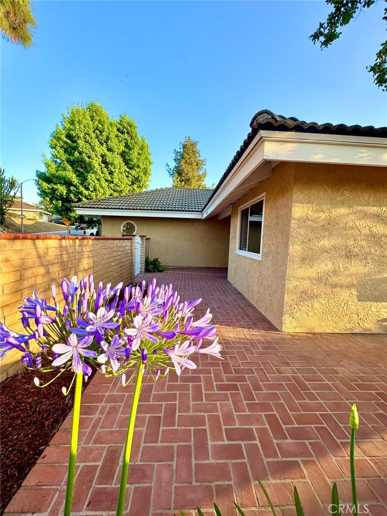 1601 Calle De Armonia