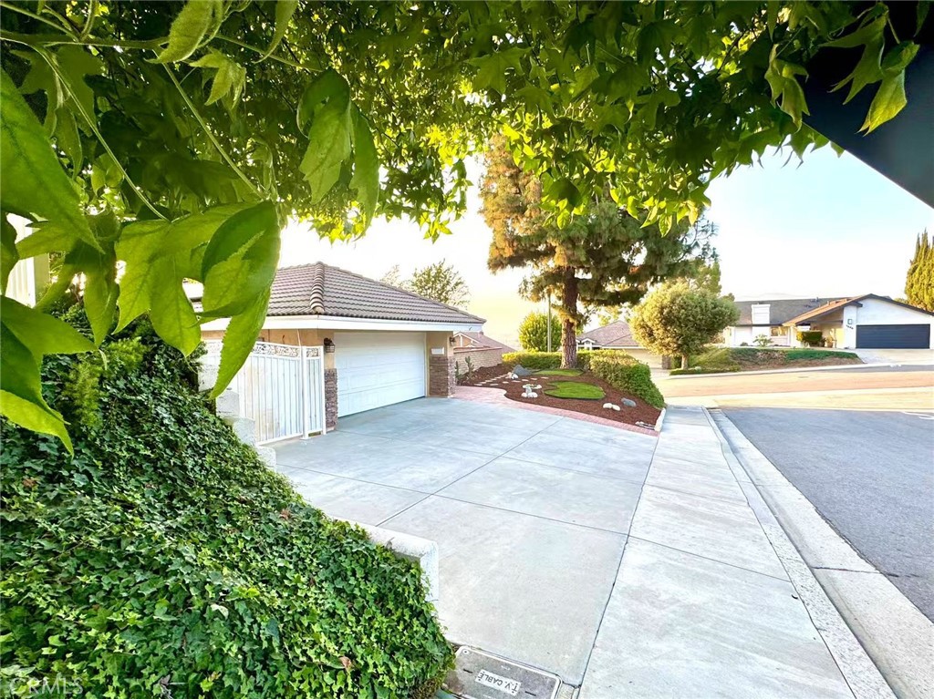 1601 Calle De Armonia