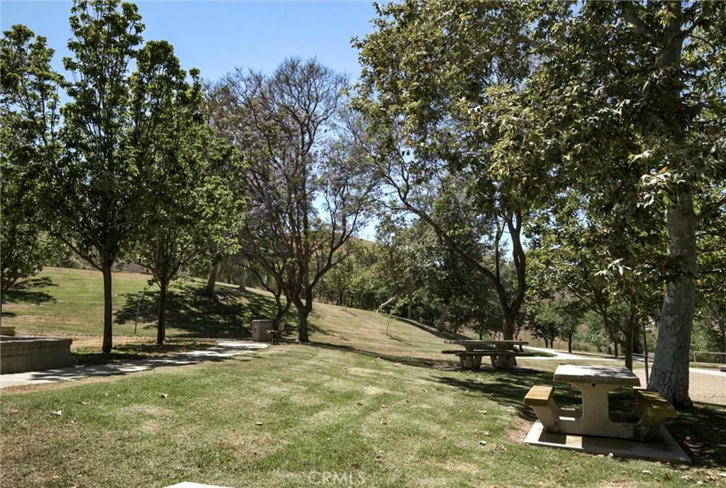 18024 Longhorn Lane