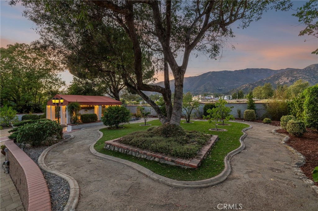 981 Deep Springs Drive