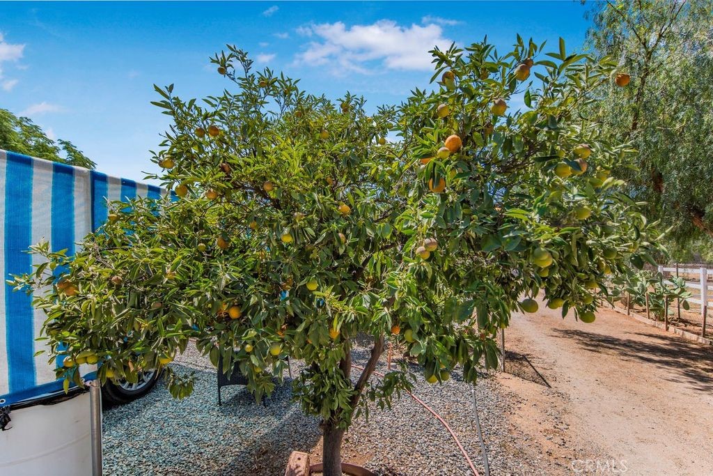 20301 Jefferson Street