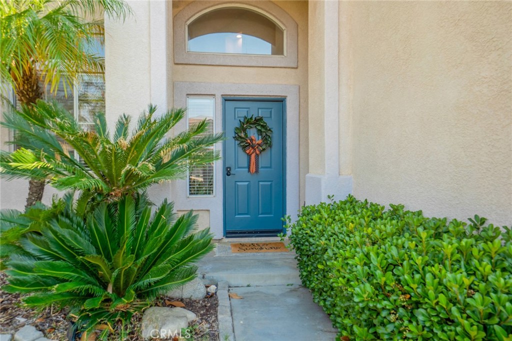 11948 Stegmeir Drive