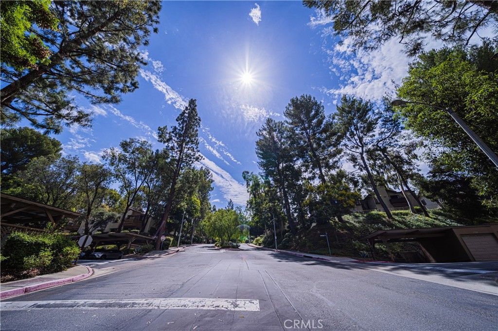 22809 Hilton Head Drive 8