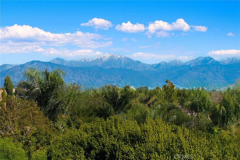 15188 Masline Street