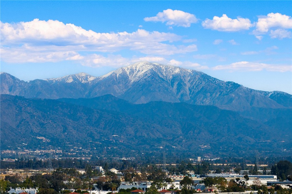 15188 Masline Street