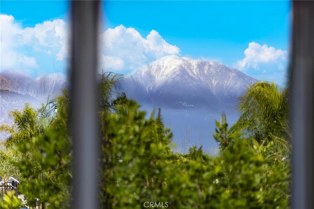 15188 Masline Street