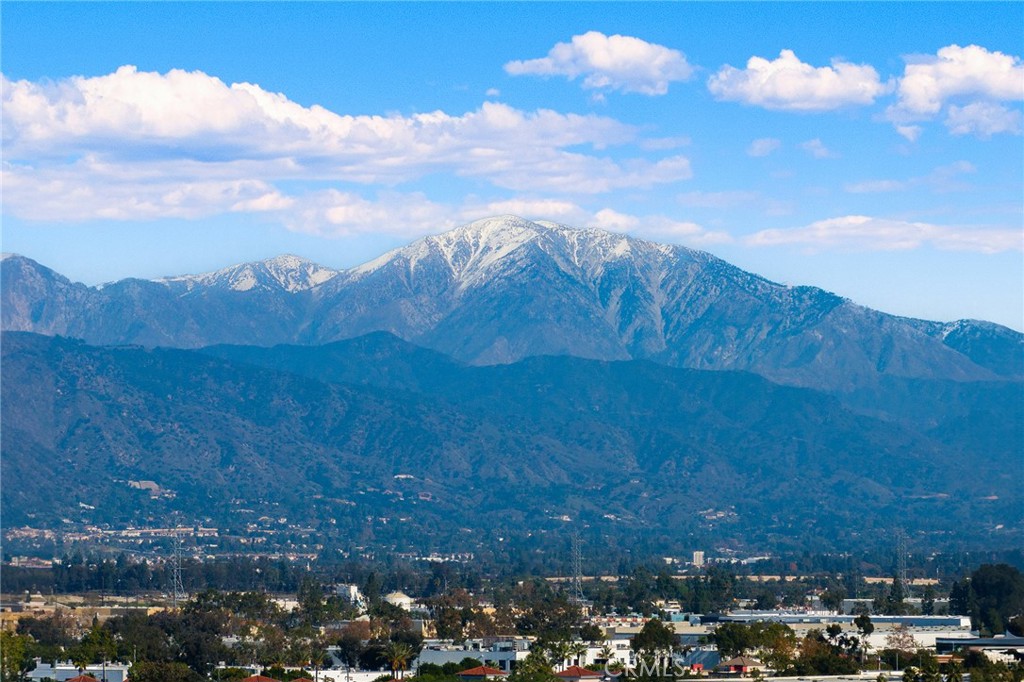 15188 Masline Street