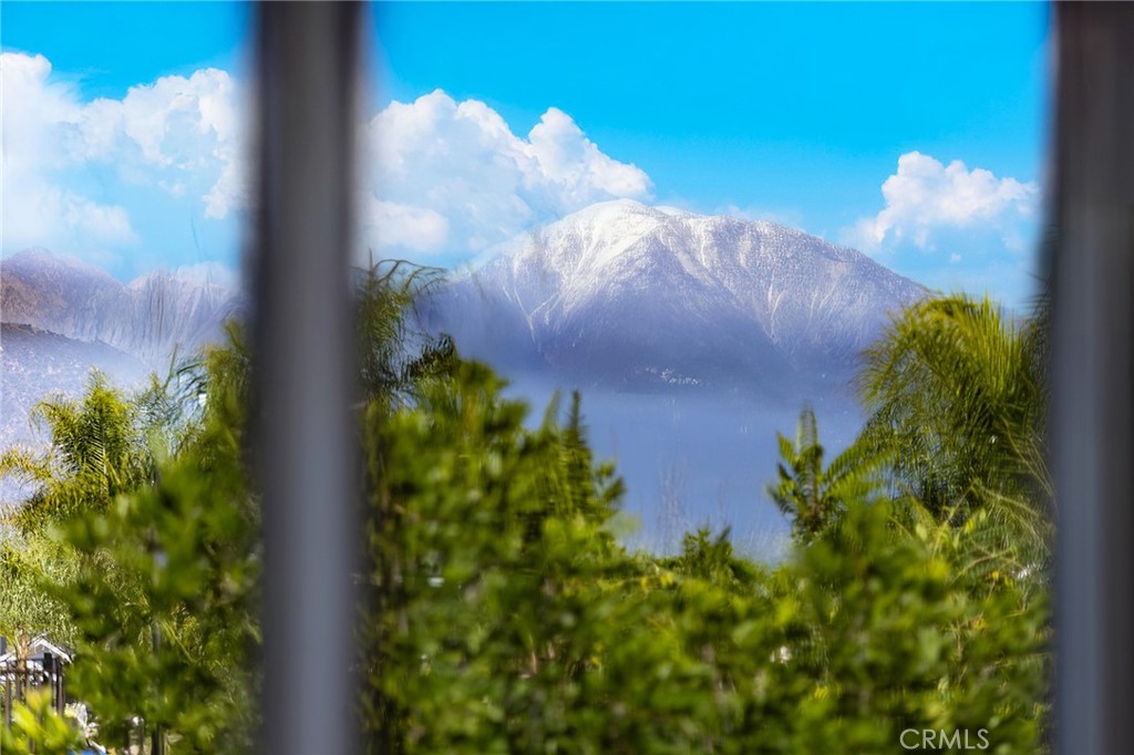 15188 Masline Street