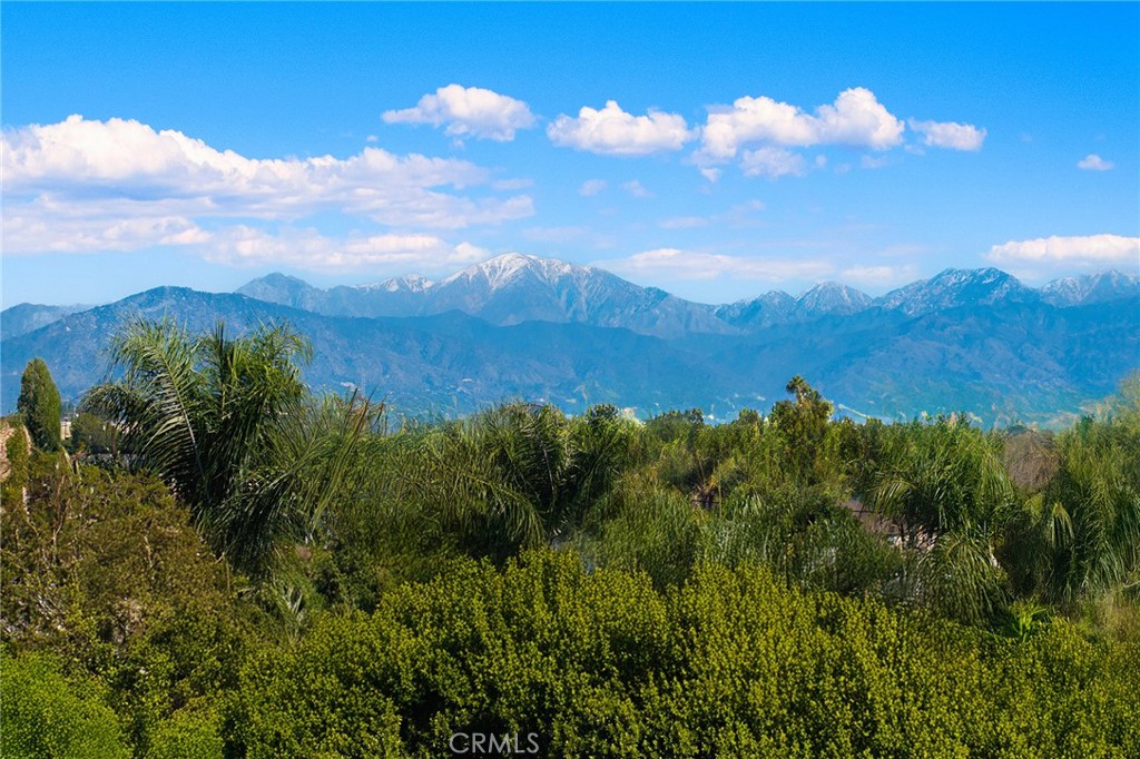 15188 Masline Street