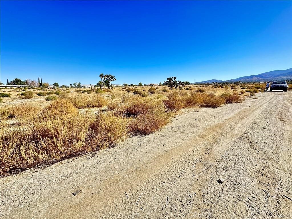 11975 Primavera Road