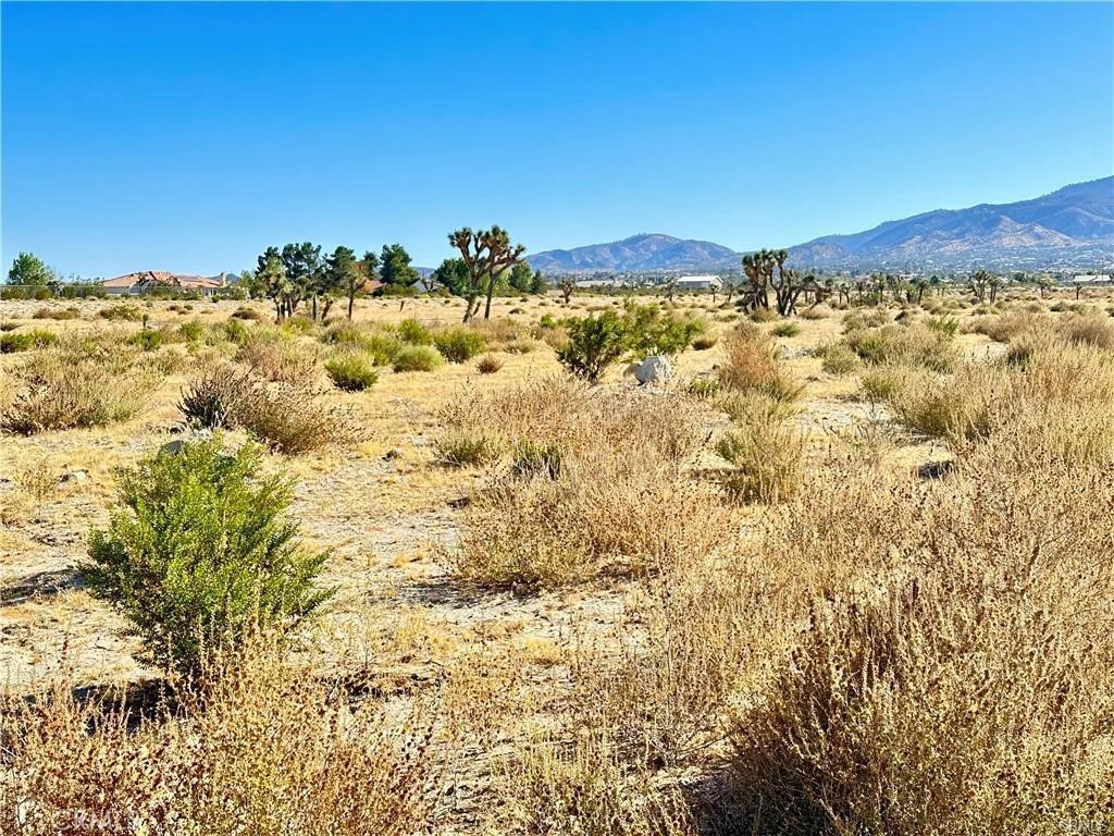 11975 Primavera Road