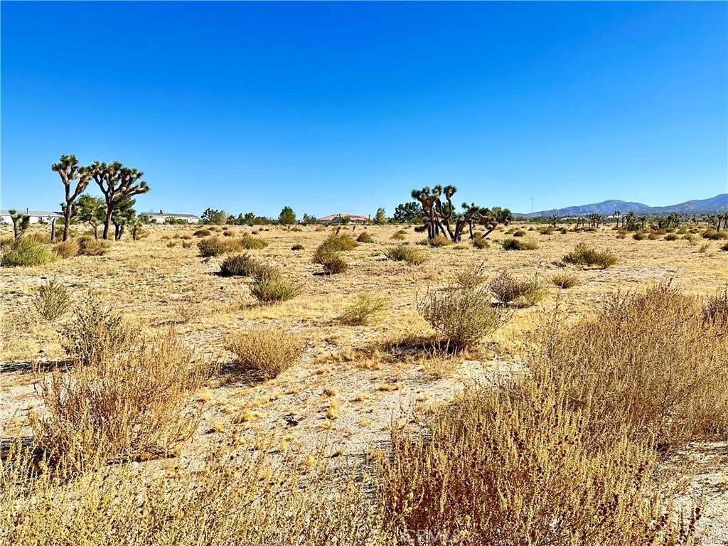 11975 Primavera Road