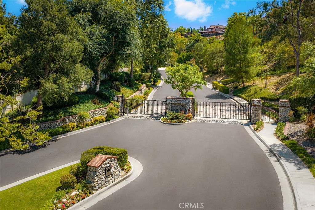 14008 Giant Forest Loop