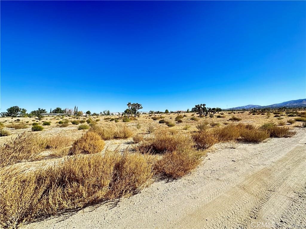 11975 Primavera Road