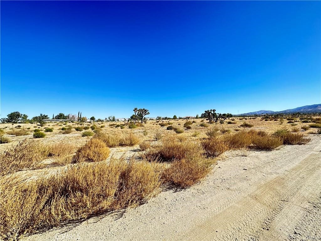12025 Primavera Road