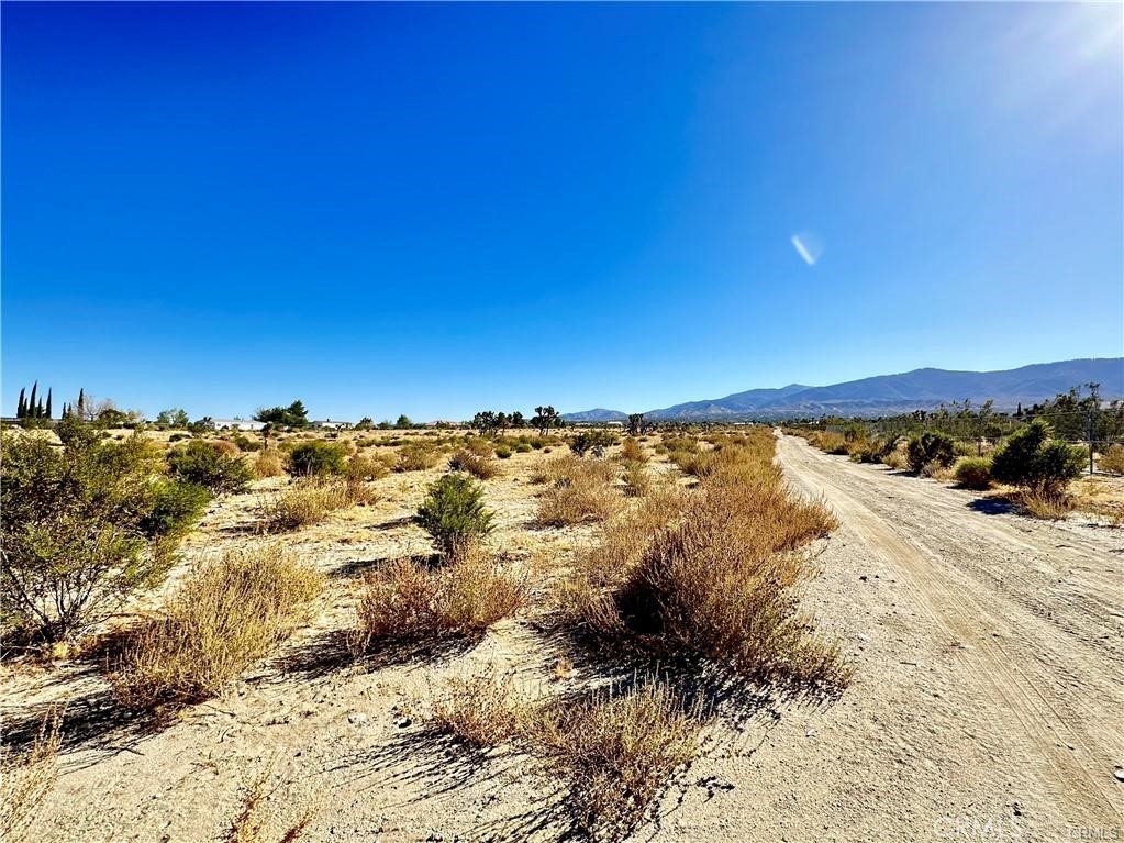 12025 Primavera Road