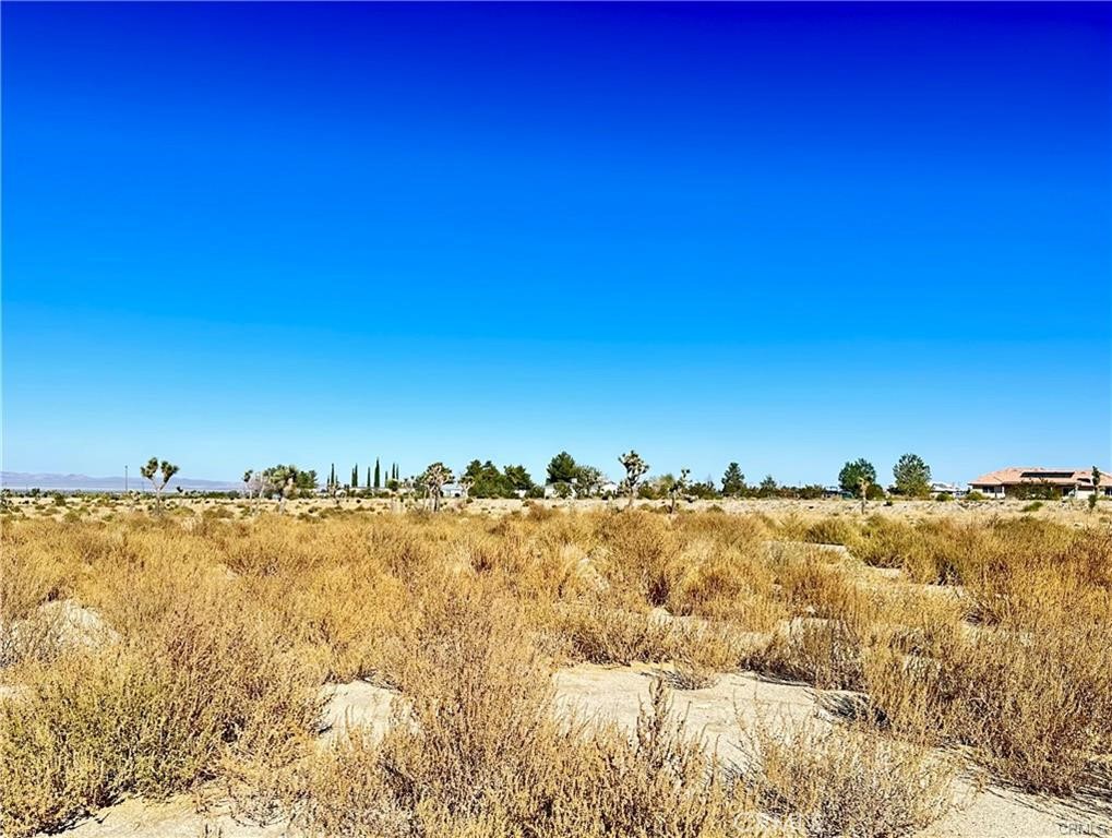 12025 Primavera Road