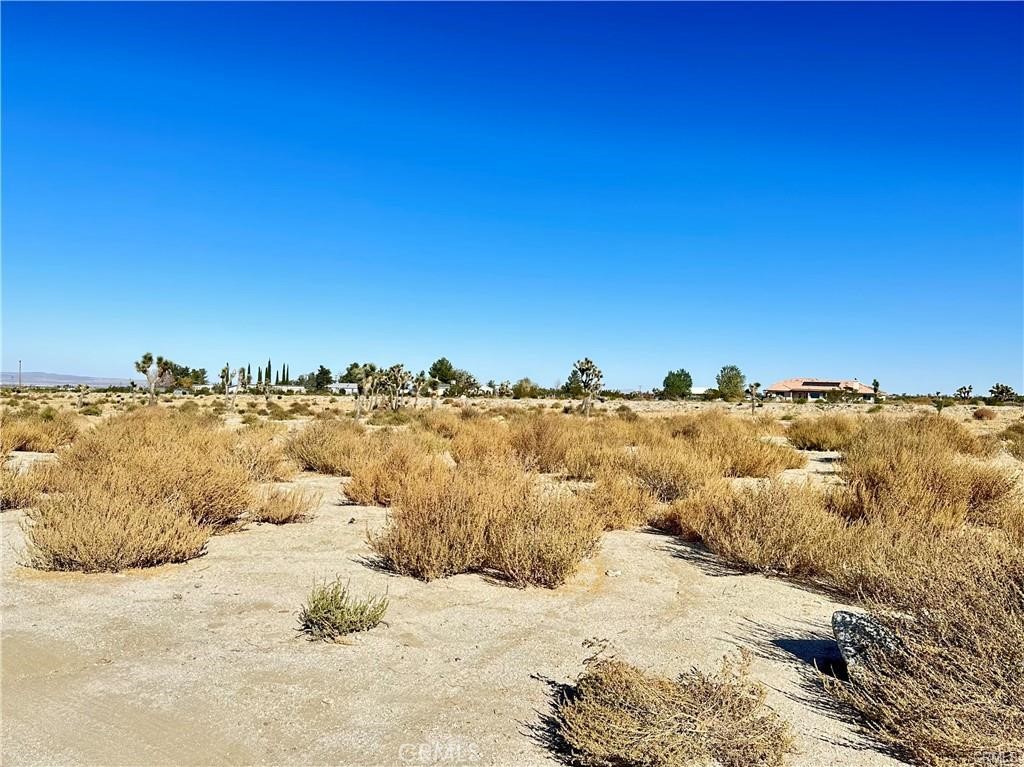 12025 Primavera Road