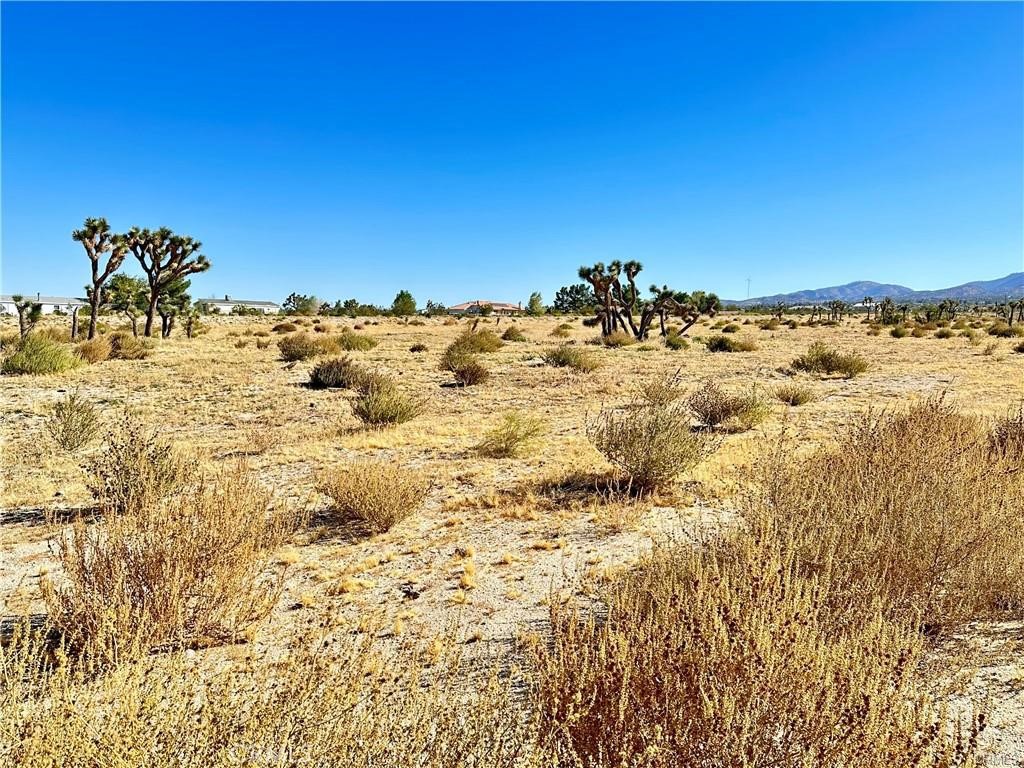 12025 Primavera Road