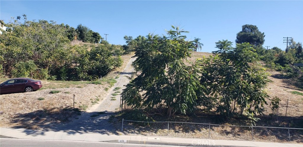 449 Camino De Teodoro