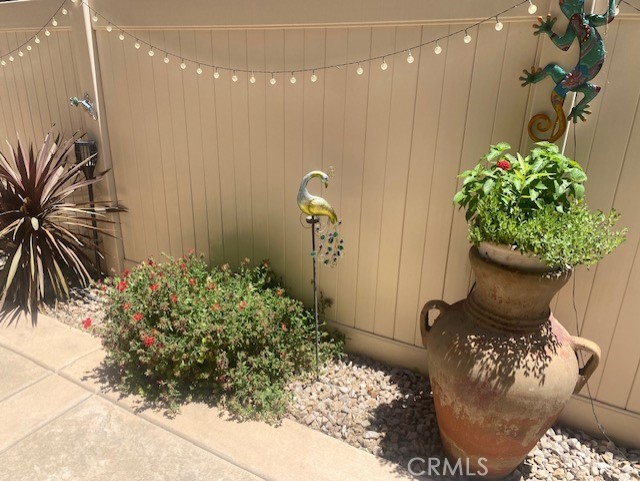 28409 Wild Rose Lane