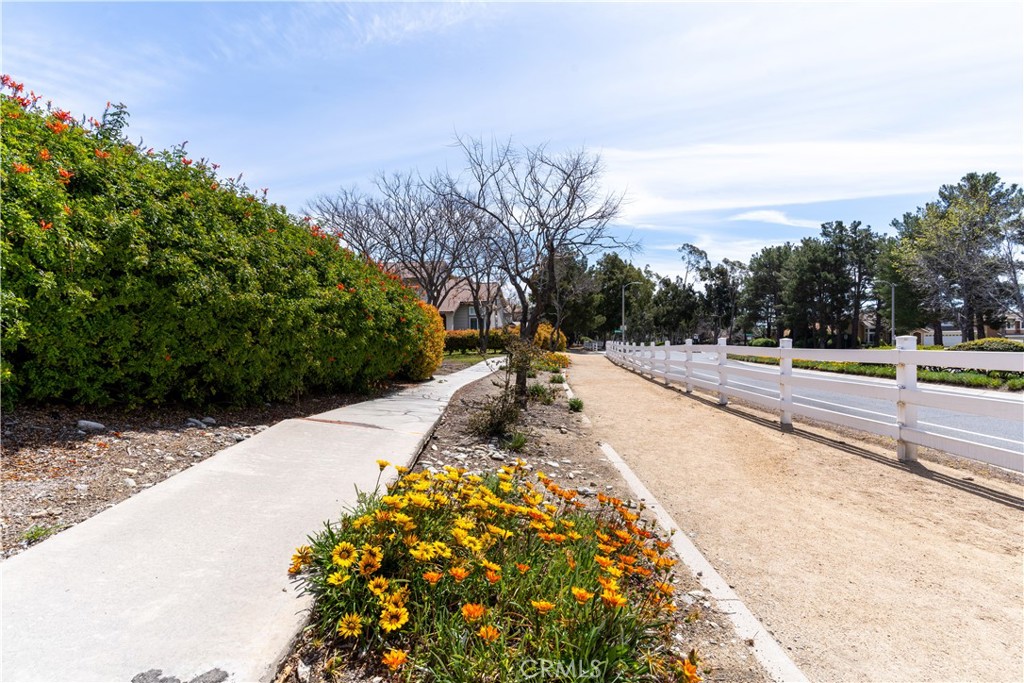 6870 Sorrento Road
