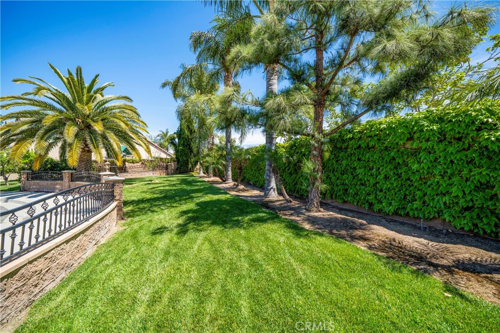 8224 Fieldstream Court