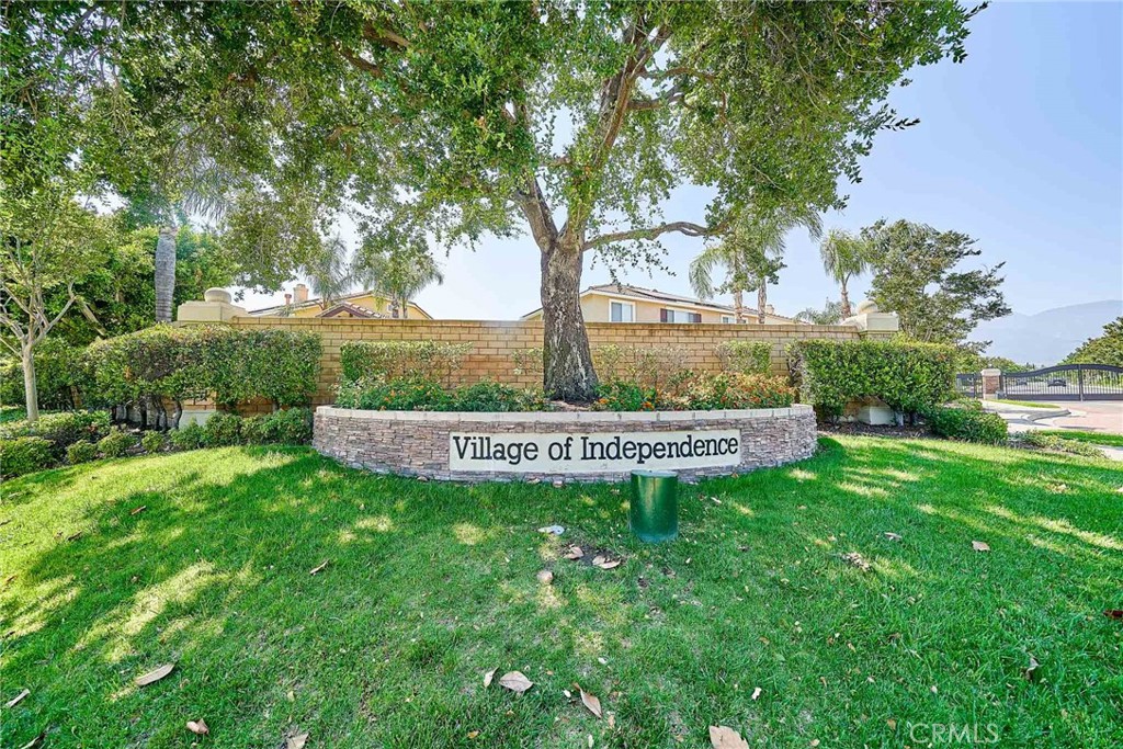 11853 Saybrook Drive
