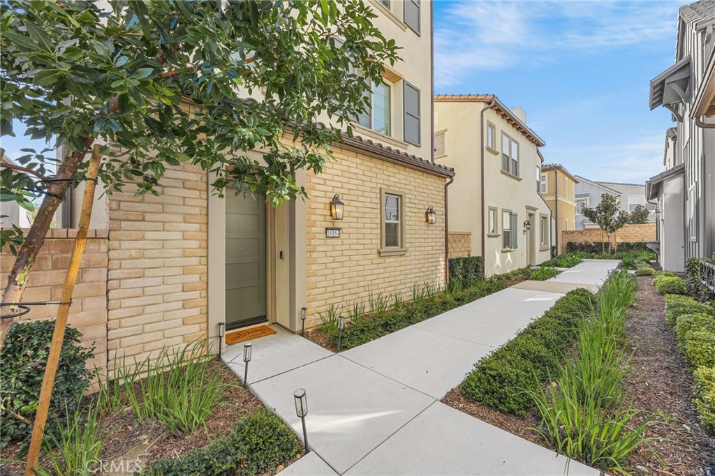 16164 Paddock