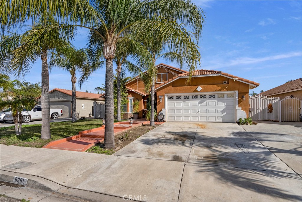 8281 Paisley Lane